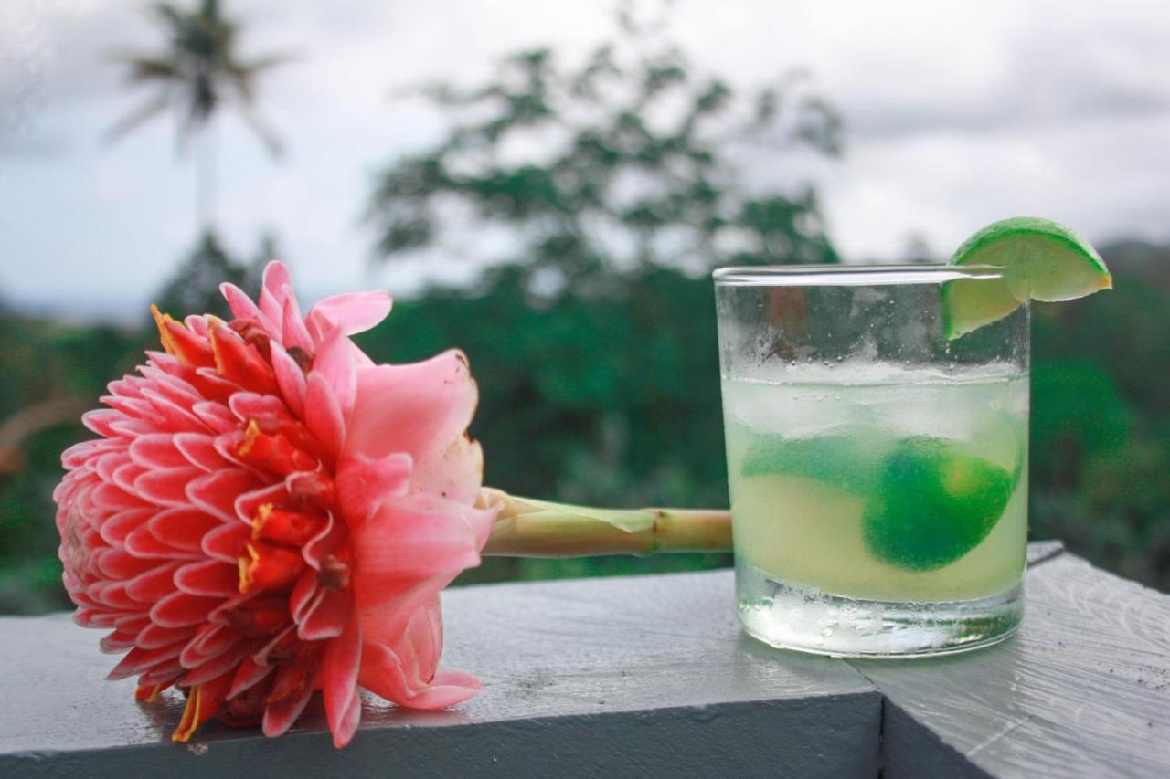 Casa Cantagalo - Guest House & Bar Restaurant Santana 외부 사진